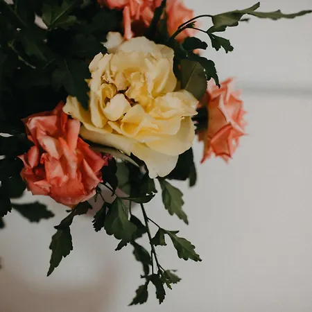 Boutique Phoenix Vendégház Međugorje